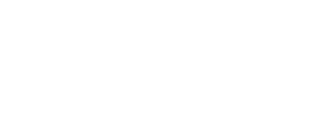 Vuori
